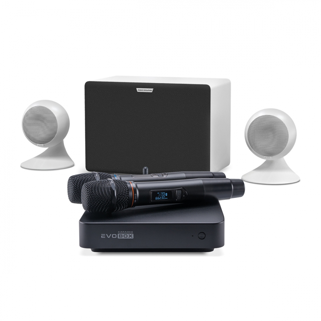 караоке-комплект EVOBOX Classic + EvoSound Sphere 2.1 в Камызяке