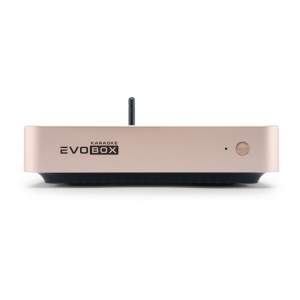 EVOBOX Plus караоке-система для дома в Камызяке