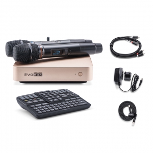EVOBOX Plus караоке-система для дома в Камызяке