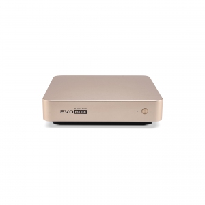 EVOBOX с микрофонами в Камызяке